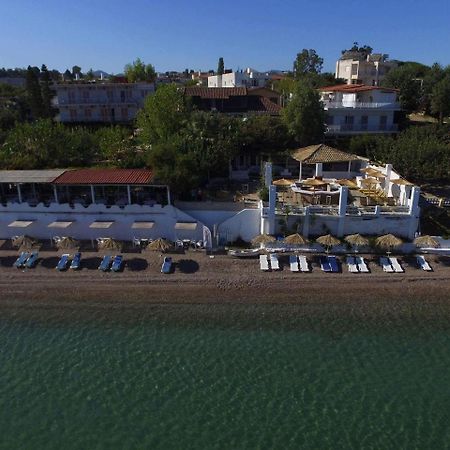 Taradella Hotel Alissos Luaran gambar
